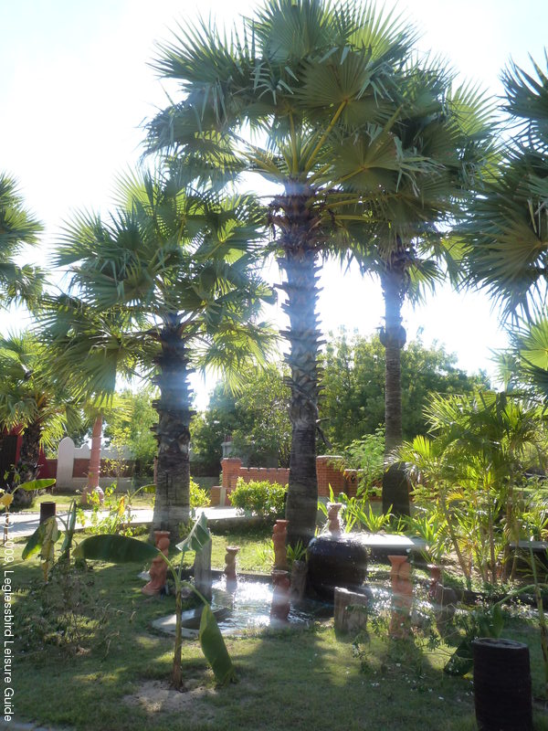 Serenity Hotel77